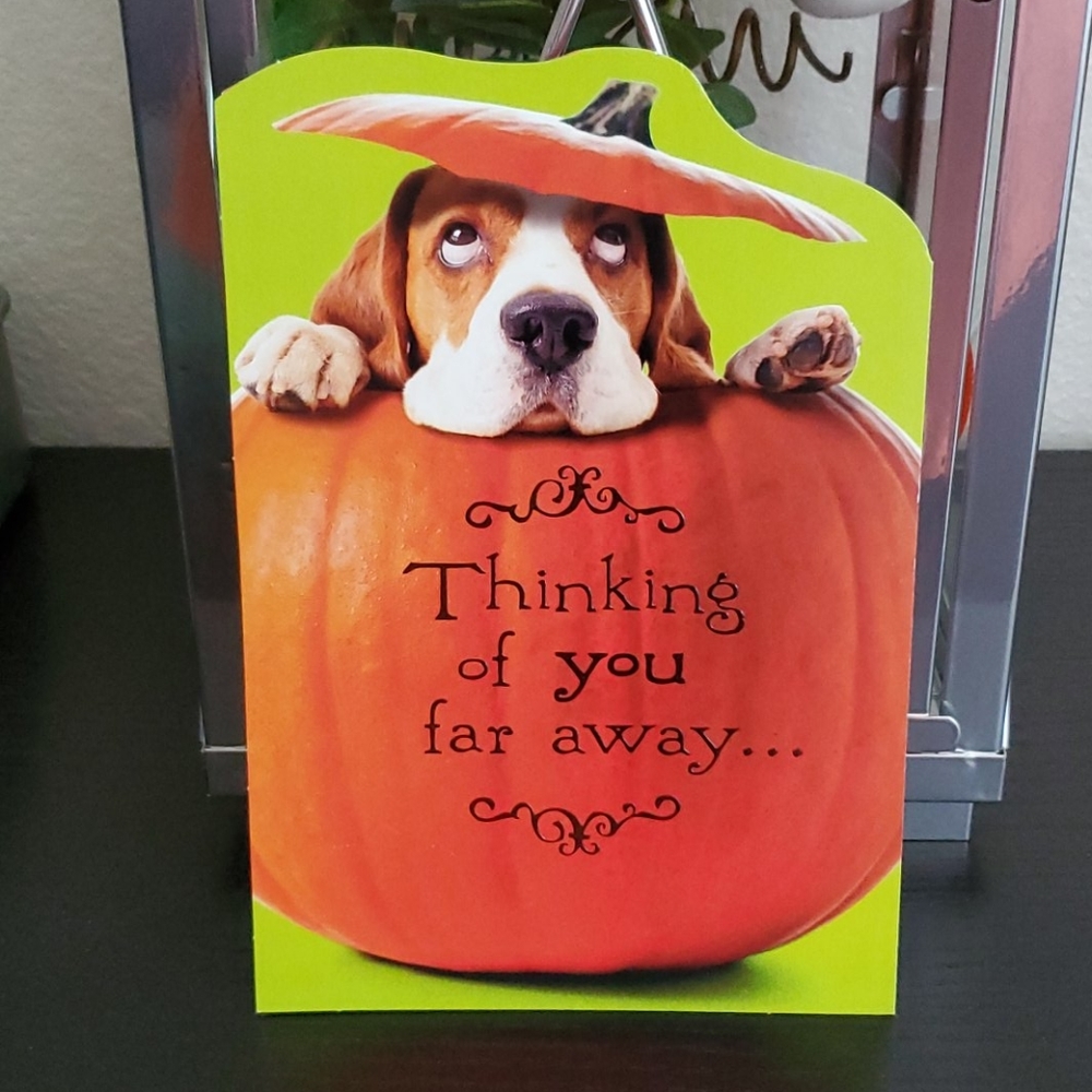 Halloween Greeting Card Missing You Basset Hound